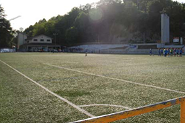 Futbol zelaia