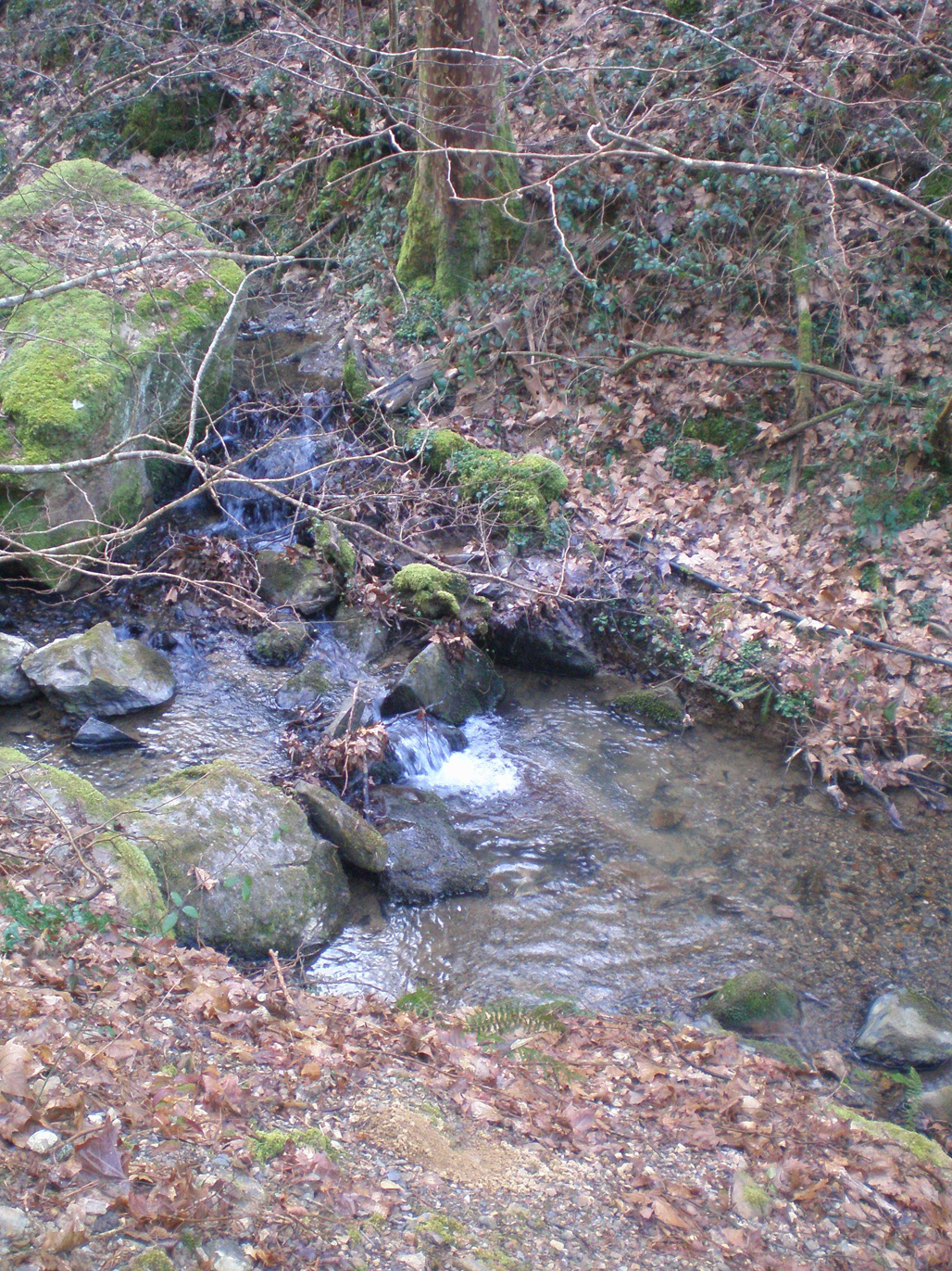 Irudia 2
