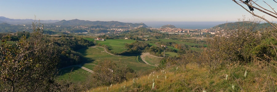 Irudia 4