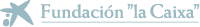 La Caixa Fundación