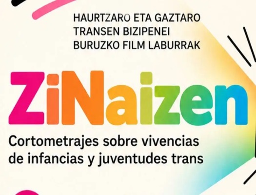 'ZiNaizen'