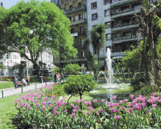 Parque de la Plaza Zaragoza
