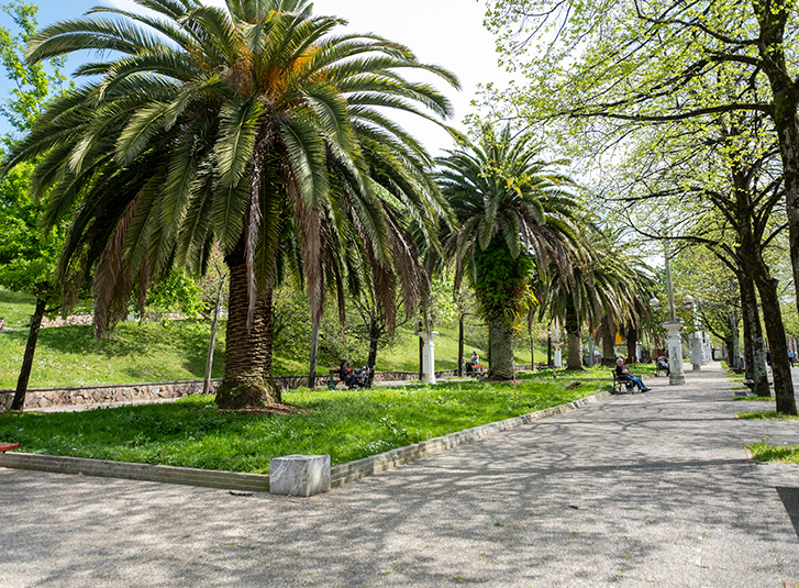 Árboles en el Paseo Harria