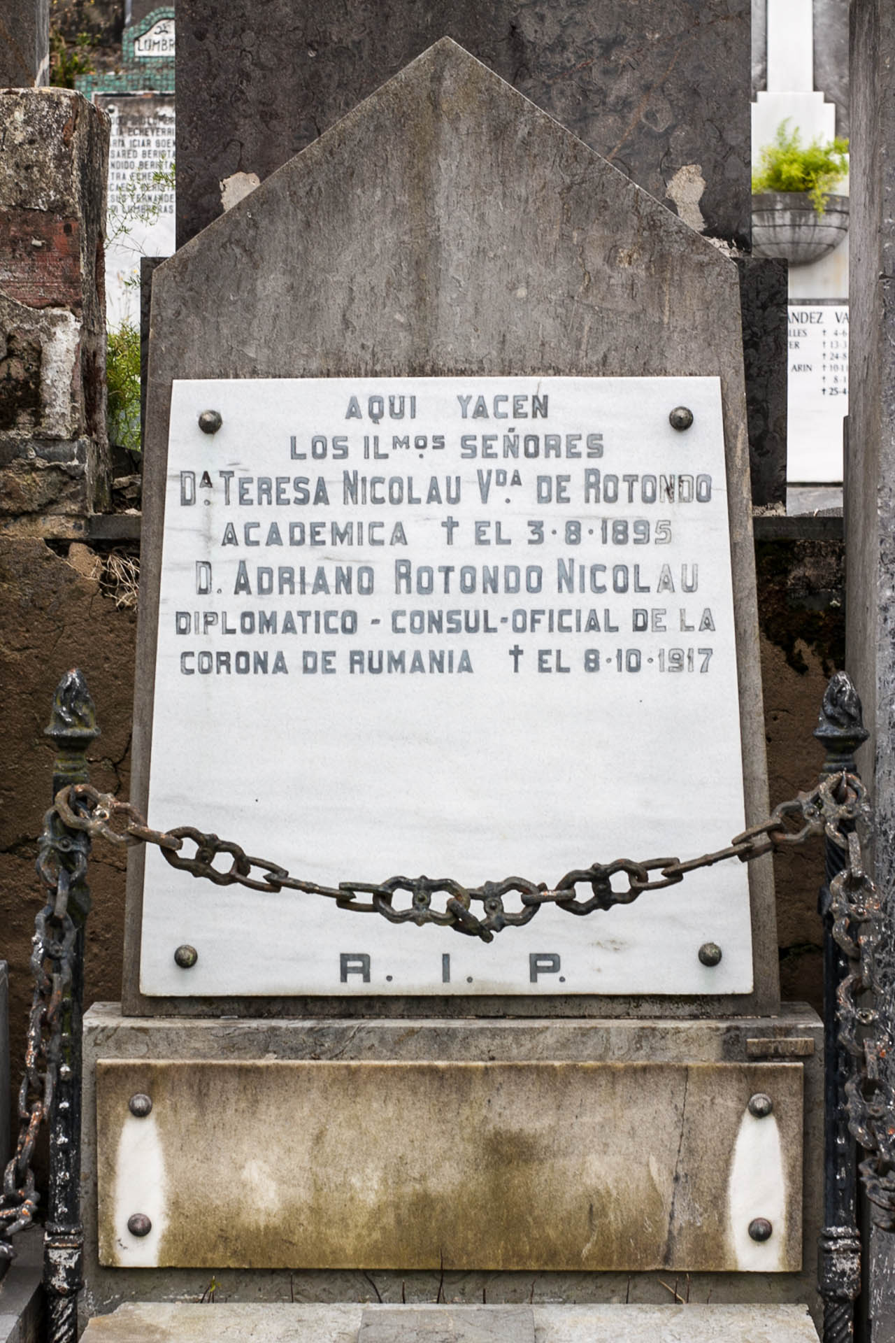Rotondo - Nicolau panteoia