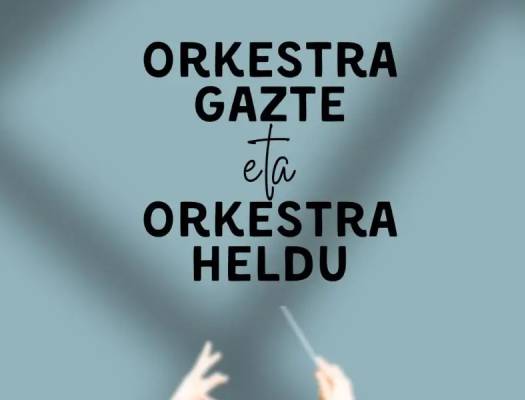 Gazteen eta helduen orkestrak