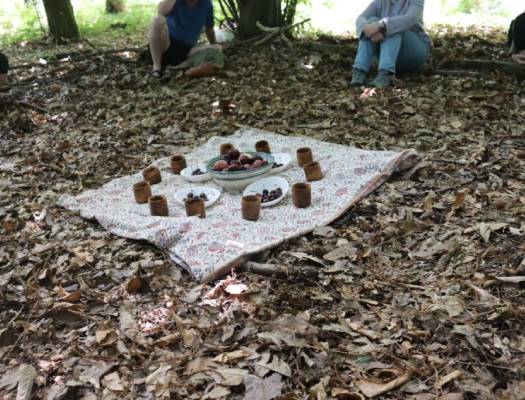 Taller de reconexión con la naturaleza