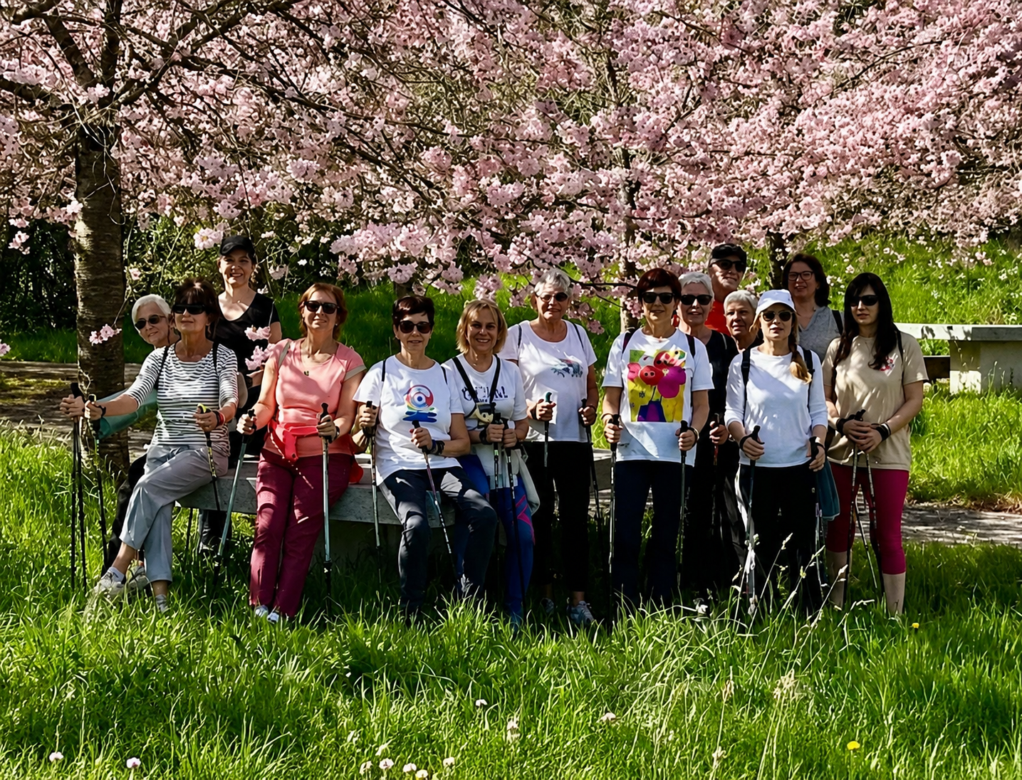 'Ipar martxa'