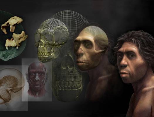Mauricio Anton. Arte y paleontologia