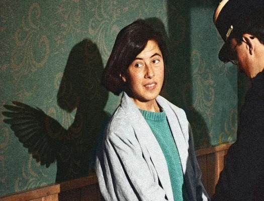Liburu aurkezpena: 'Hegal egiten' 