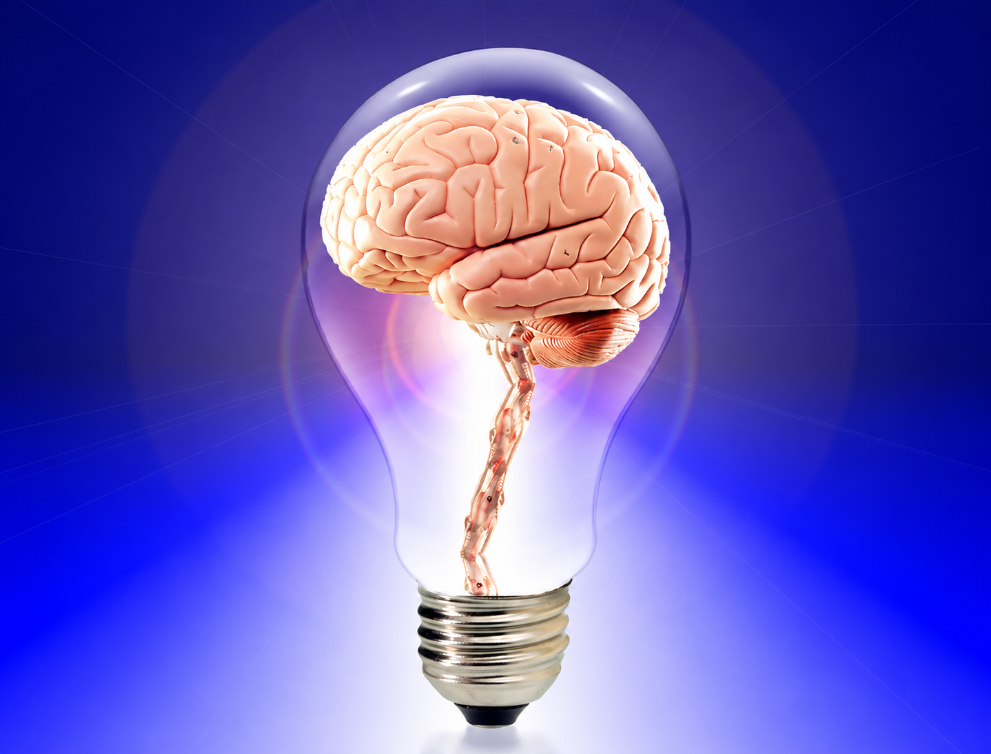 'Cómo cuidar tu cerebro' 