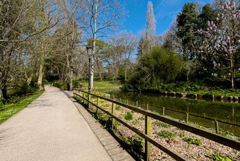 Zona del estanque de Cristina Enea