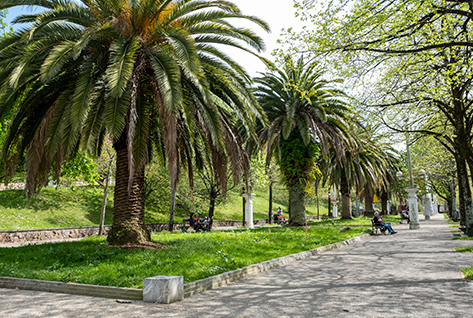 Detalle del Paseo Harria