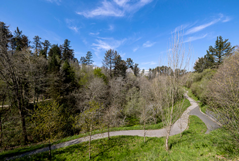 Paseo del Parque de Miramón