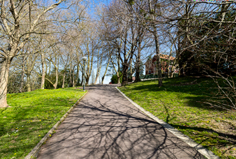Camino del Parque de Puio
