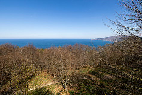 Vistas del Parque de Ulia