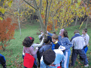 Grupo de nios tocan y observan un rbol en medio de un prado
