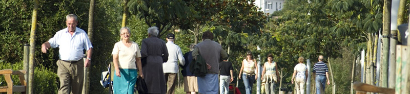 Grupo de personas mayores pasean por un parque