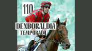 irudia
